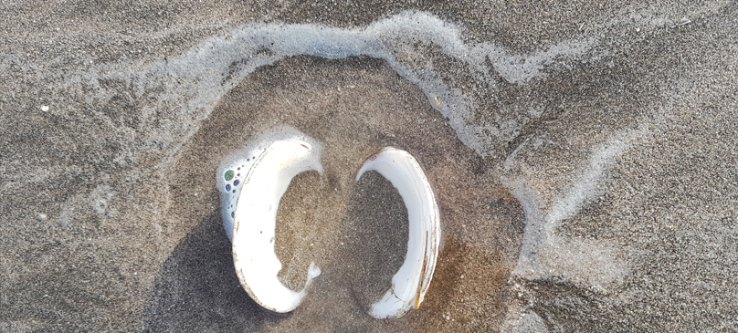 La Chiquita Balneario